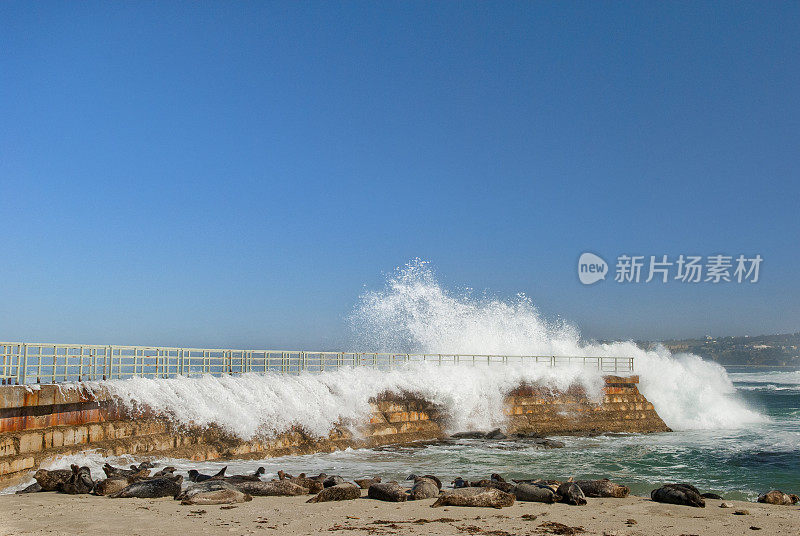 拉霍亚儿童湾的破浪