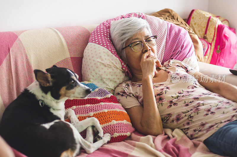 老女人和她的狗躺在家里的沙发上