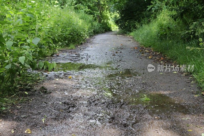 倾盆大雨过后，被水浸透的乡间小路上满是水坑，泥泞的靴子和脚印留在泥泞中