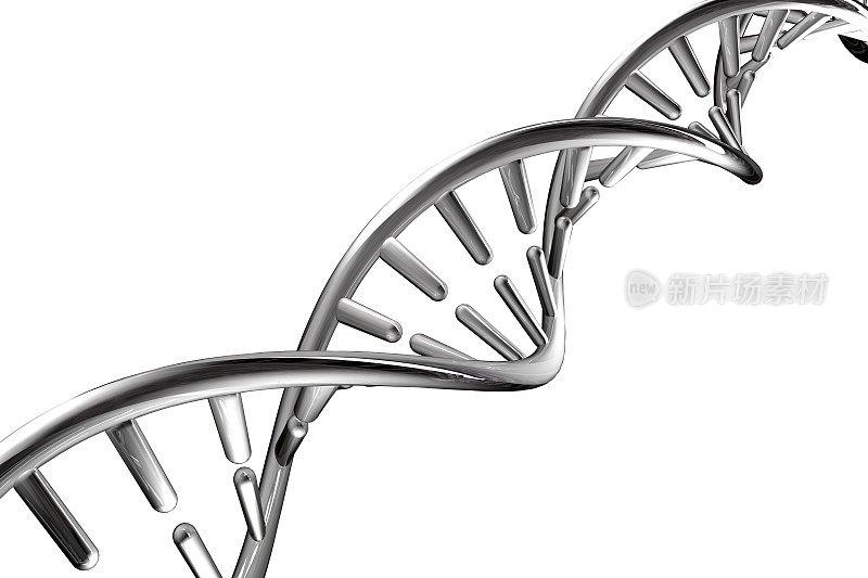 白色背景上分离出的银色金属DNA