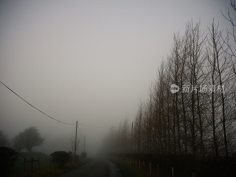 阴沉的冬日景象，乡村道路在浓雾中。