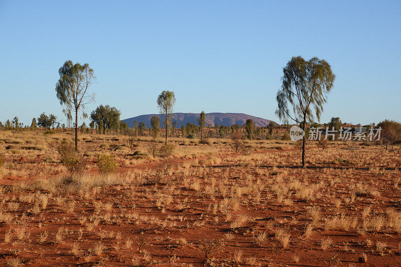 沙漠景观，北部领土，澳大利亚