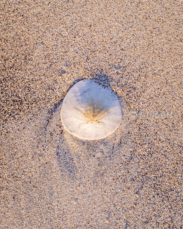 帝国的海滩