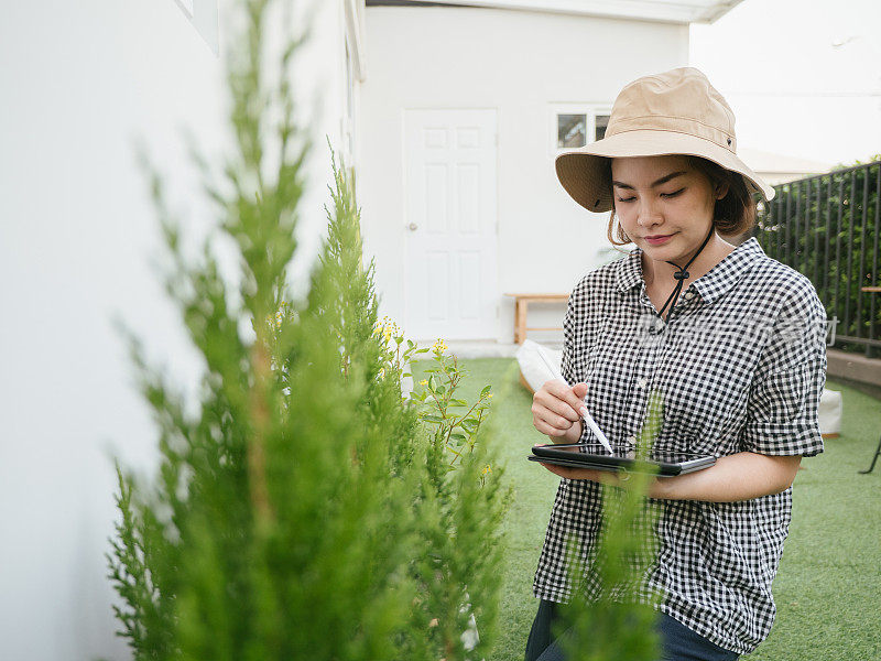 亚洲妇女在花园种植前检查作物。