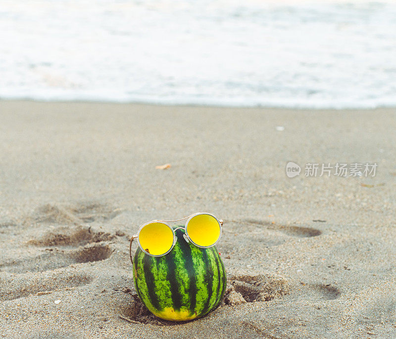 西瓜享受海滩