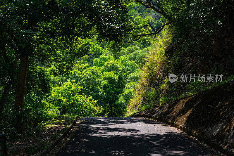 香港流水乡水塘郊游径