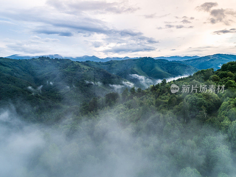 绿色的山丘和牧场覆盖着浓密的白雾