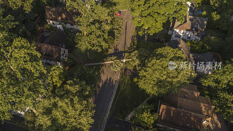 郊区一场危险大风的后果。一场风暴过后，一棵倒下的树挡住了新泽西州一个小镇的街道。