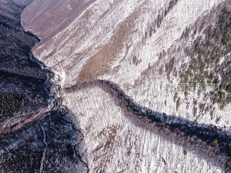 冬季的空中飞行在白雪覆盖的林地上。在山上滑雪度假。