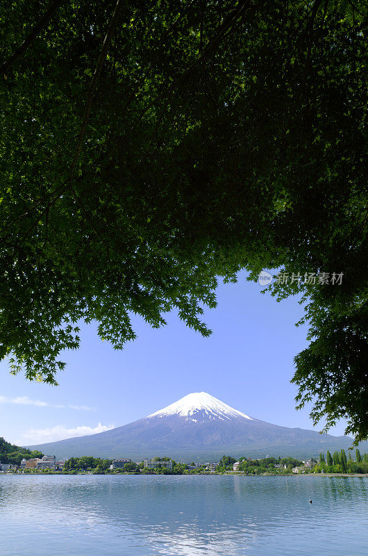 富士山和川口湖