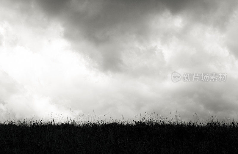 黑色和白色的草草和暴风雨的云，自然背景与复制空间