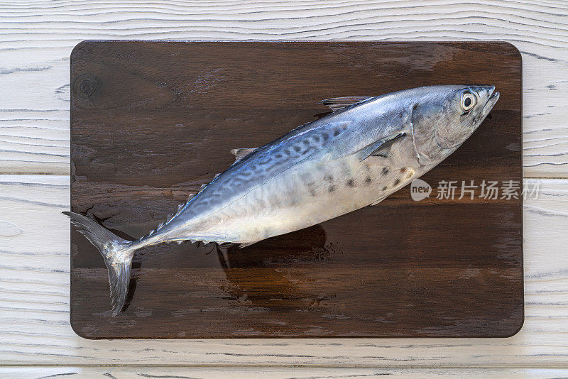 一条金枪鱼斜放在深色木板上非常新鲜的小金枪鱼
