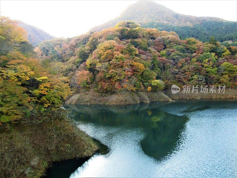 日本。11月的晴朗天气。山湖。