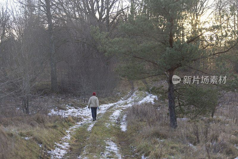 深秋在森林里徒步旅行。成熟的女人走在乡间小路上。