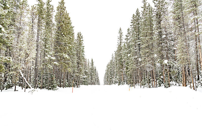 美国蒙大拿州黄石公园和库克城之间的高速公路大雪后的冬季景象