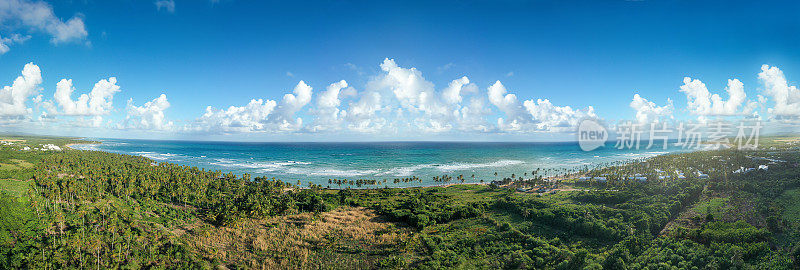 野生热带海岸线，椰子树和绿松石般的加勒比海。无人机鸟瞰图。旅游目的地。从无人机全景视图
