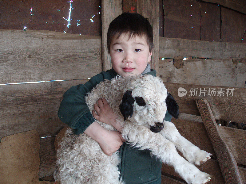 蒙古苏赫巴托尔省，一个男孩爱着一只脆弱的小羊。