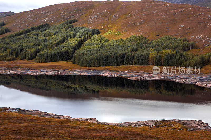 美丽的苏格兰森林和湖泊景观