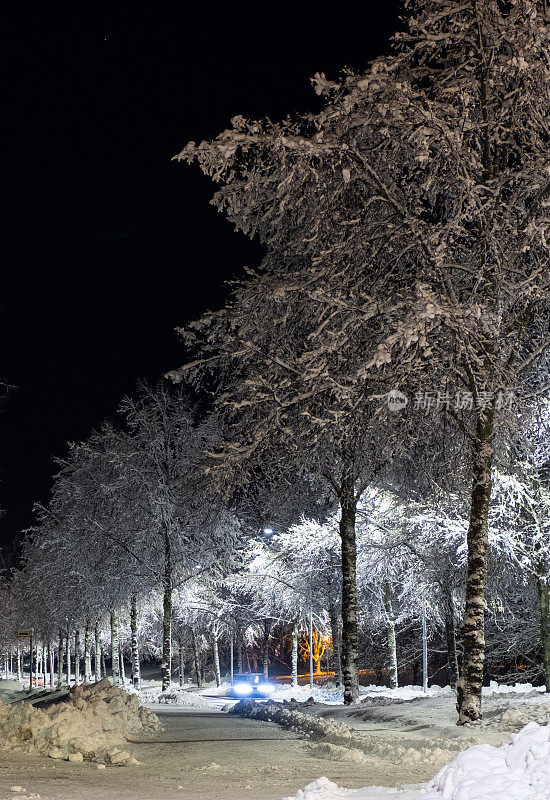 冬天夜城路。一排白雪覆盖的树木和街灯。