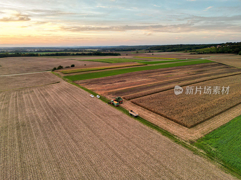 鸟瞰图绿色联合收割机在日出时将玉米装入挂在拖拉机上的拖车