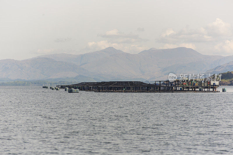 苏格兰，英格兰，英国，格拉斯哥，奥本海岸的鲑鱼养殖场