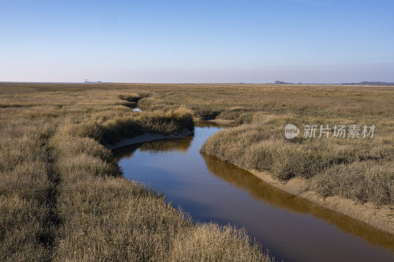 施埃尔蒙尼科格(Schiermonnikoog)初冬清晨的盐沼日出