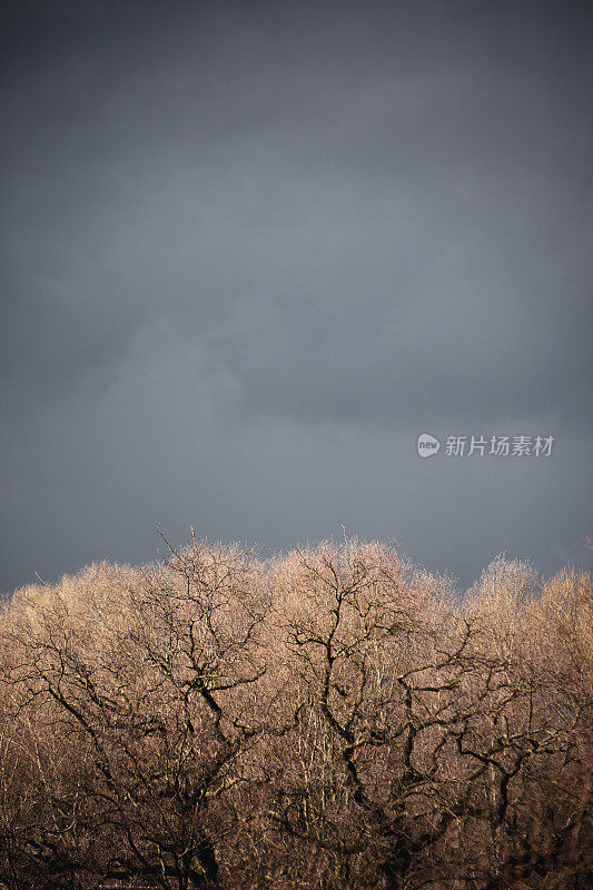 戏剧性的天空