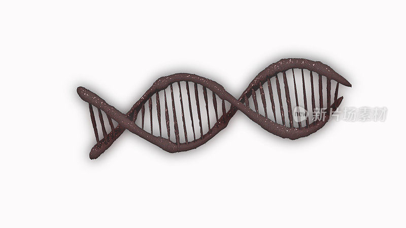 白色背景上分离的基因脱氧核糖核酸。生物技术DNA结构，人类细胞生物学DNA链分子结构，科学背景，3D插图