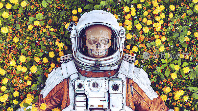 在太空任务失败后，死去的宇航员躺在花丛中