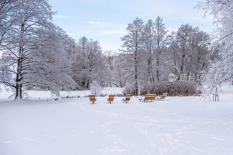 冬天的风景。冰雪覆盖的树木，城市公园里湖面上的雪堆和冰。花园长凳上覆盖着