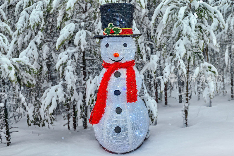 雪人戴着一顶帽子，织着一条华丽的围巾，在冬天的森林里