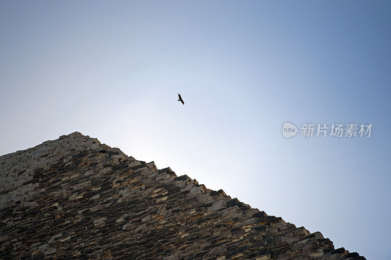 鹰在埃及开罗吉萨的胡夫金字塔上翱翔。