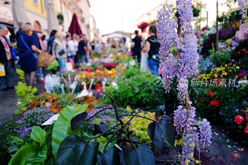 米兰运河上的花卉市场