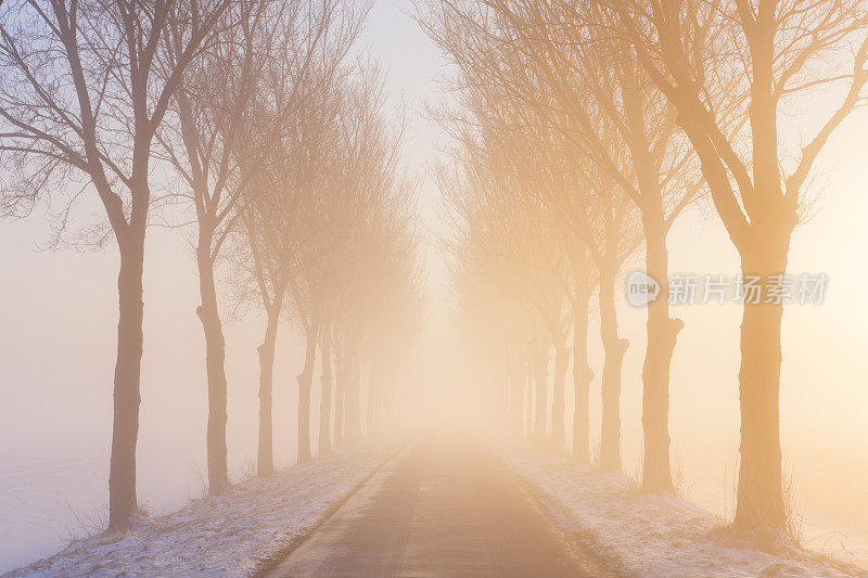 道路穿过雾蒙蒙的冬季，荷兰的沼泽景观，日出