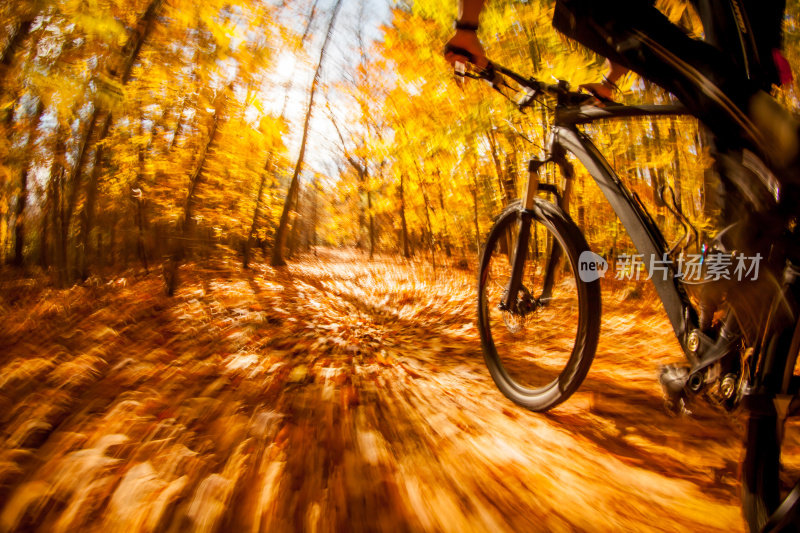 在马萨诸塞州的一个秋天骑山地自行车