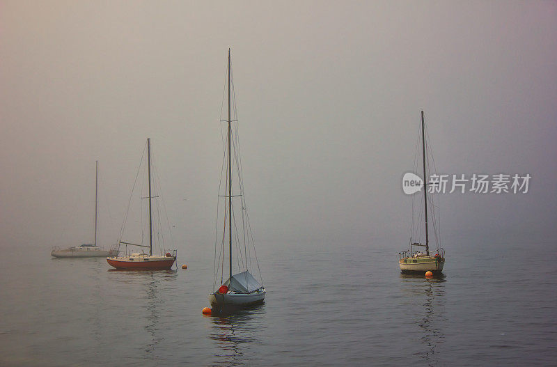 悉尼麦克马洪角的游艇在雾中