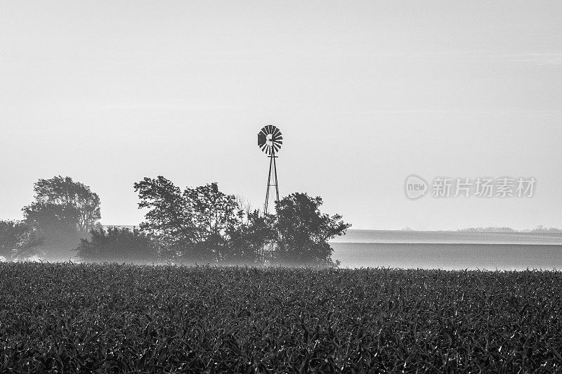 日出时风车的黑白图像