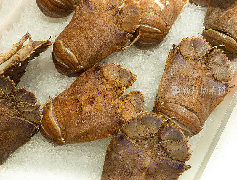 特写:冰镇寿司吧的螳螂虾