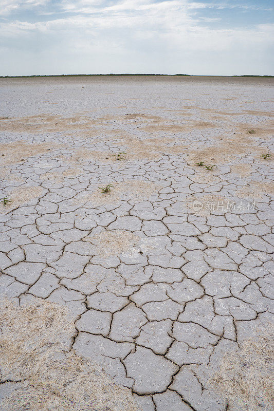 盐沙漠