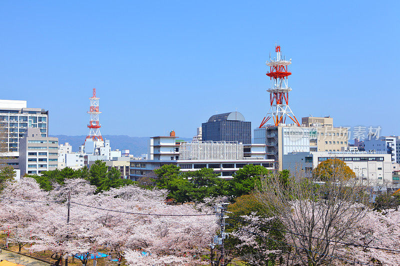 和歌山市的春天