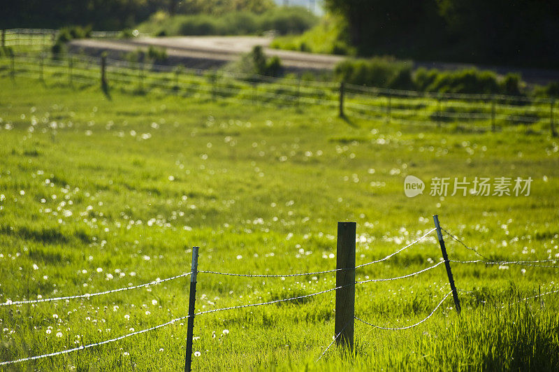 风景名胜区的铁丝网栅栏和道路