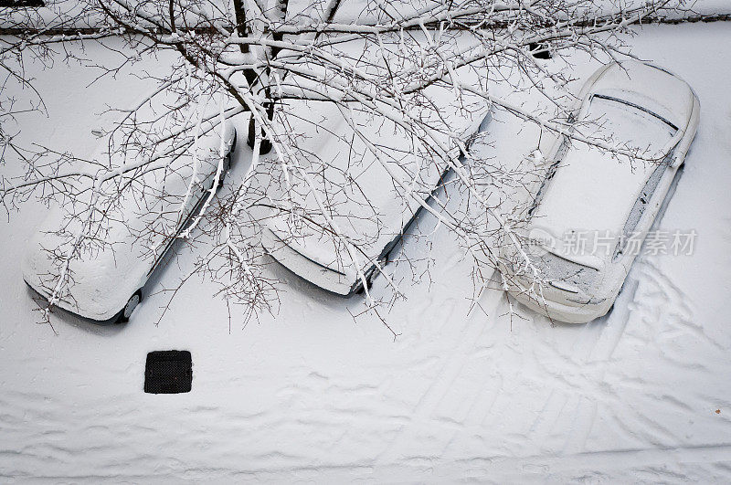 三辆被积雪覆盖的汽车