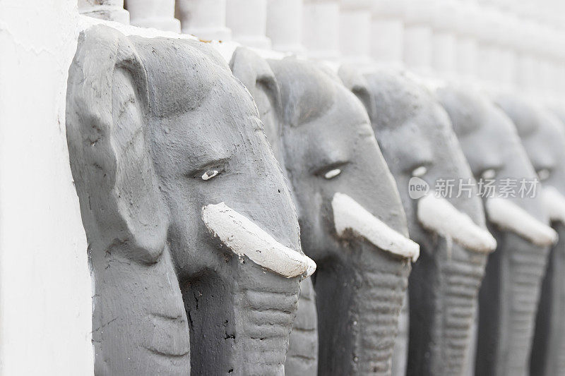 佛教石灰色大象浮雕斯里兰卡寺庙科伦坡
