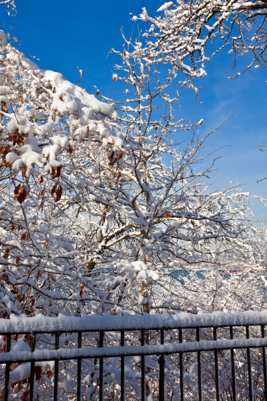 纽约下雪了。