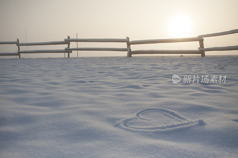 爱情在雪地里签名