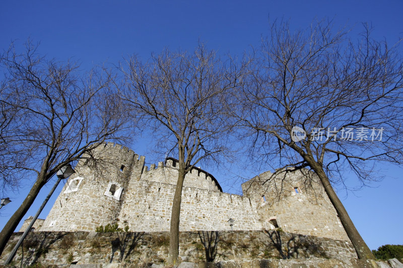 城堡和树木