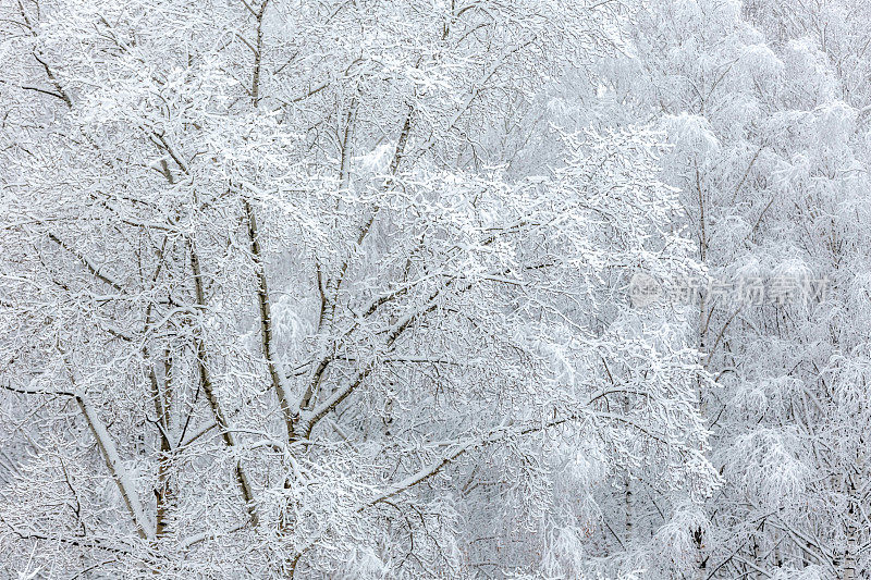 被雪困住的木