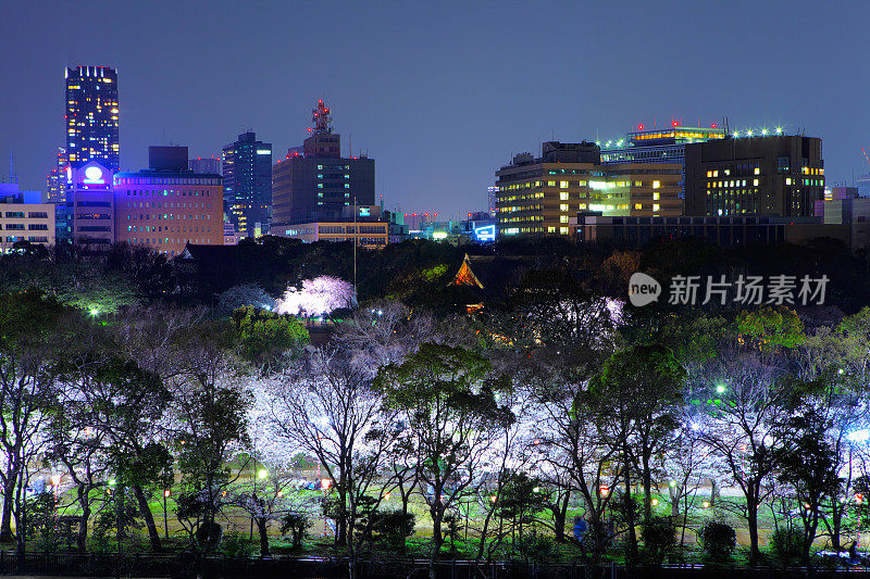 日本大阪的夜晚