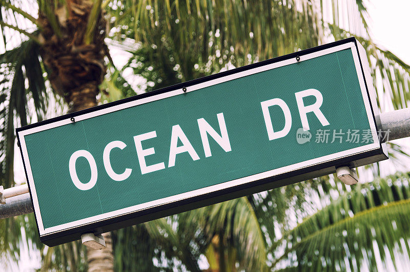 海洋大道迈阿密街的棕榈树标志