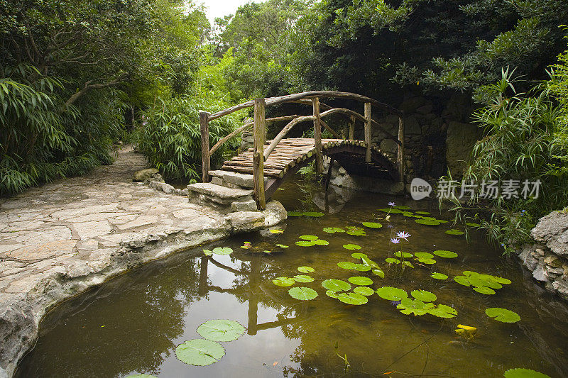 花园池塘上的木桥